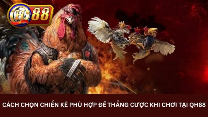 Sảnh Đá gà QH88 kết hợp với nhiều nhà phát hành uy tín